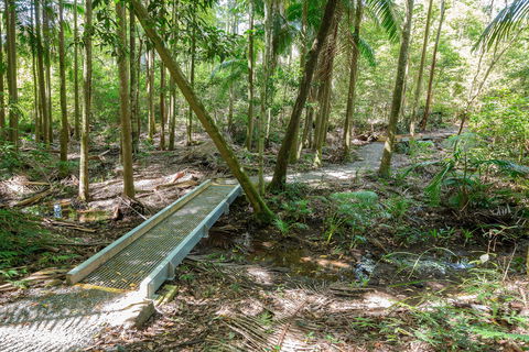 Old Bottlebutt - Tourism Townsville 0