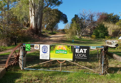 Taralee Orchards - Tourism Townsville 0