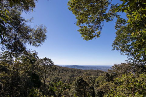 Thylogale Track - Tourism Townsville 2