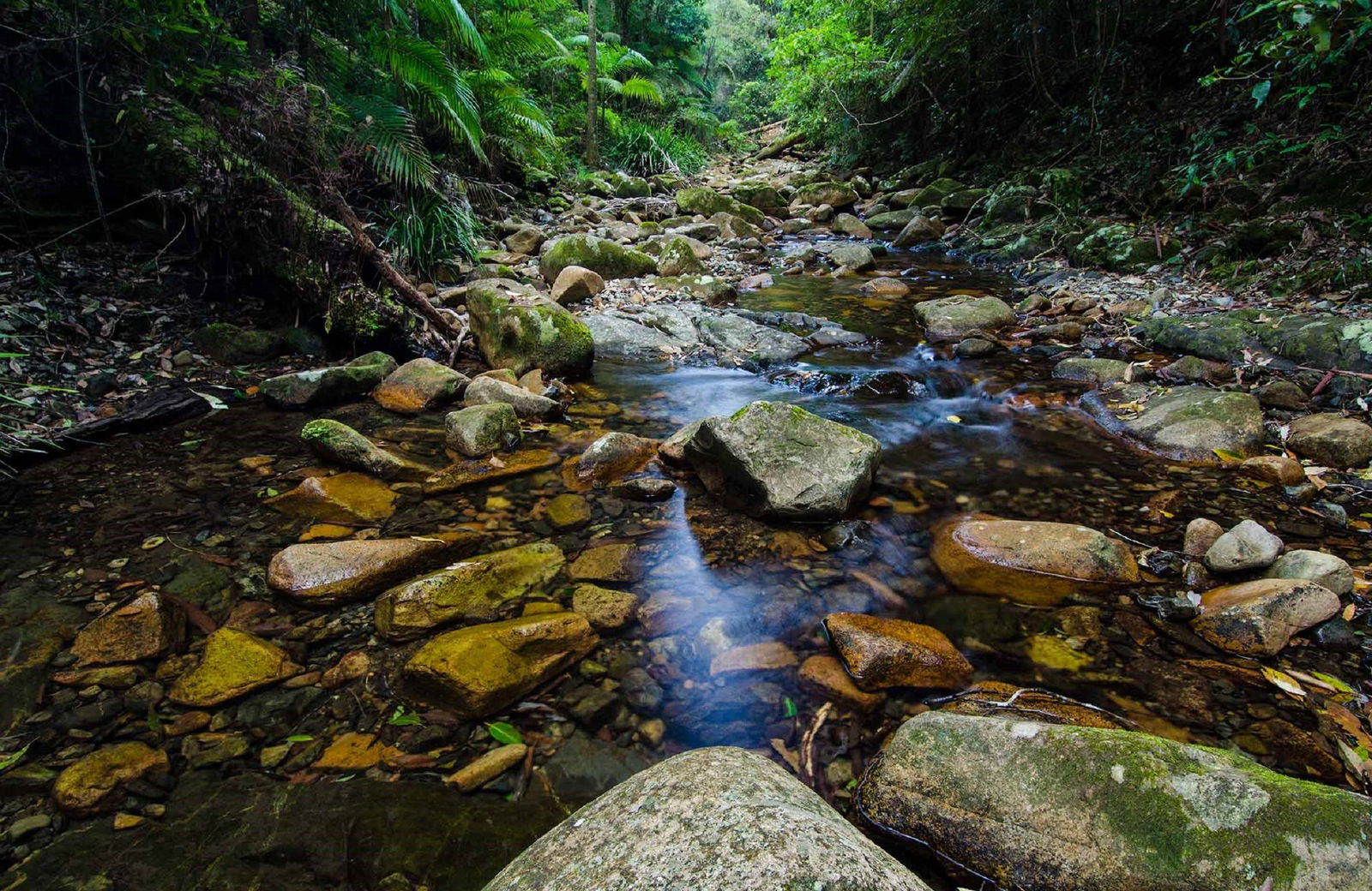 Willi Willi NSW Tourism Townsville