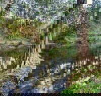 Woko National Park