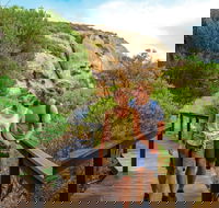 Woody Island Nature Reserve - Tourism Townsville