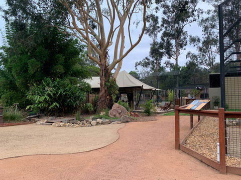 Zambi Wildlife Retreat - Tourism Townsville 2