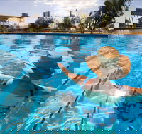 Boulia Sports and Aquatic Centre - Tourism Townsville