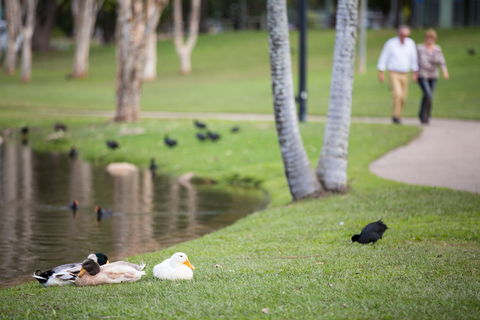Centenary Lakes Park - Tourism Townsville 2
