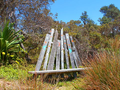 Diggers Headland - Tourism Townsville 1