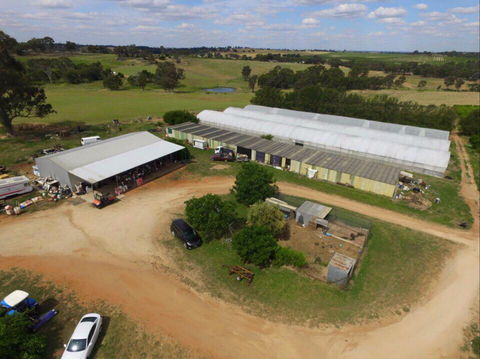 Hill-Lock Orchard - Tourism Townsville 0