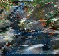 Mackay Regional Botanic Gardens - Tourism Townsville