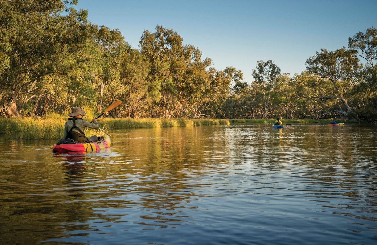 Macquarie Marshes NSW Tourism Townsville