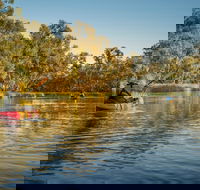 Macquarie Marshes Nature Reserve - Tourism Townsville