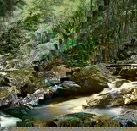 Maleny - Tourism Townsville