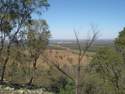 Mount Tilga - Tourism Townsville 0