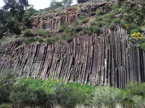 Organ Pipes National Park - Tourism Townsville 1