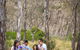 Organ Pipes National Park - thumb 2