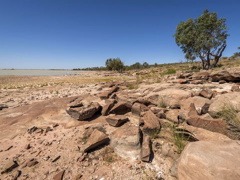 Peery Lake Picnic Area - Tourism Townsville 0