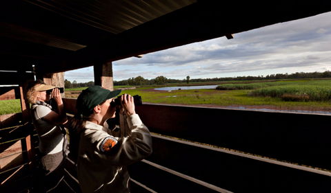 Reed Beds Bird Hide Boardwalk - Tourism Townsville 0