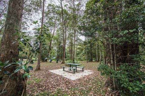 Rocksberg Park Heritage Reserve - Tourism Townsville 1