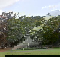 State Square Banyan Tree - Tourism Townsville