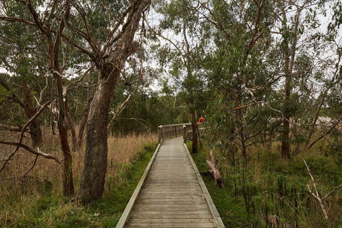 The Briars Park Walking Trails - Tourism Townsville 0