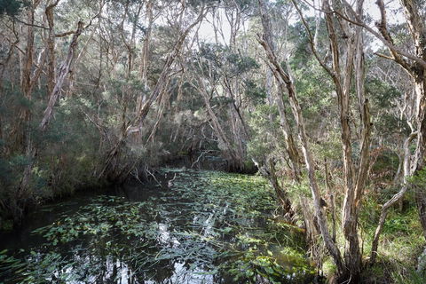 The Briars Park Walking Trails - Tourism Townsville 2