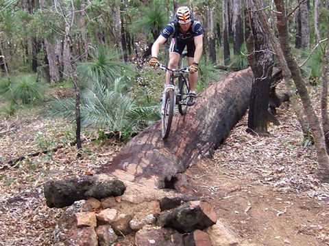 Turner Hill Mountain Bike Trail, Murray - Tourism Townsville 0