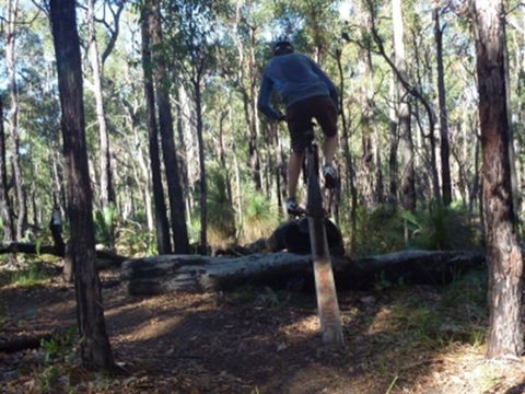 Turner Hill Mountain Bike Trail, Murray - Tourism Townsville 1