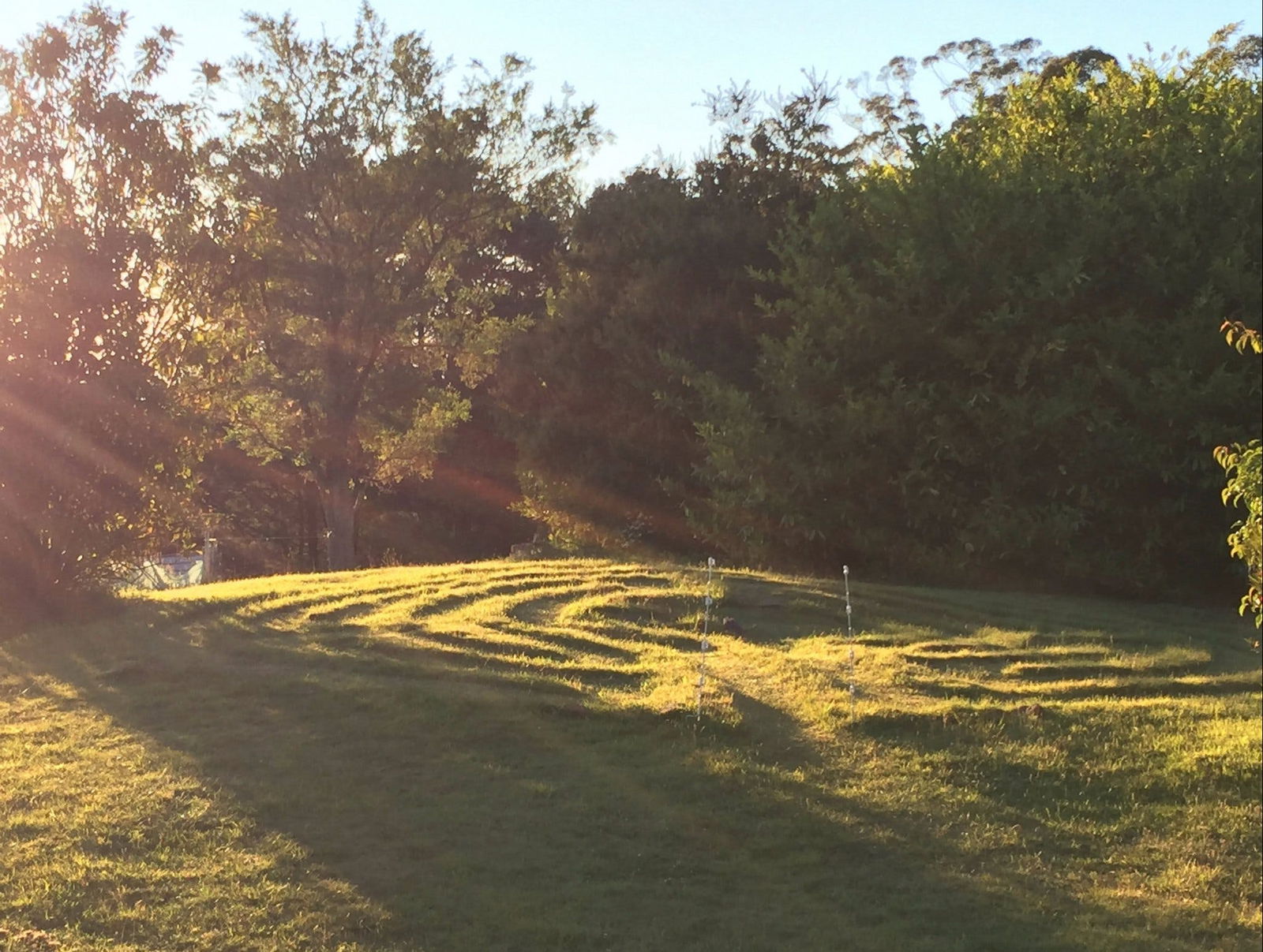 Gray TAS Tourism Townsville