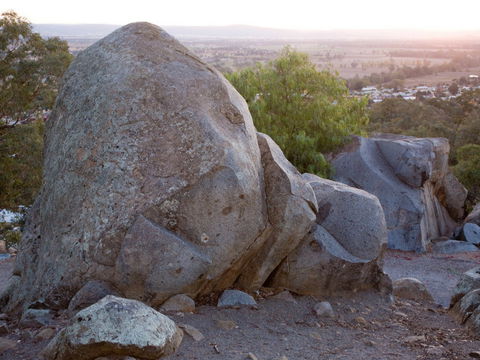 Bellevue Hill Reserve - Tourism Townsville 0