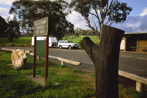 Black Stump Rest Area - Tourism Townsville 0