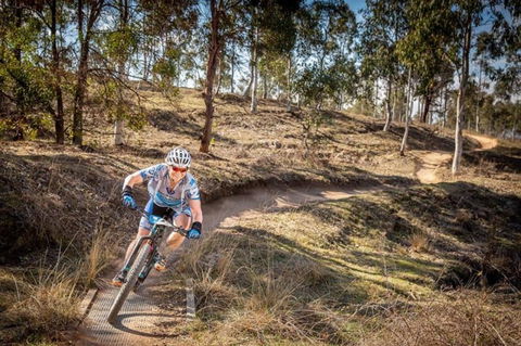 Cycle Mogo State Forest - Tourism Townsville 0