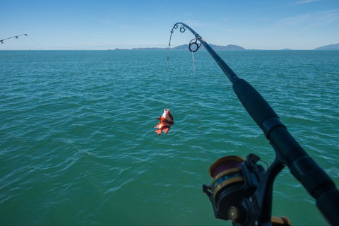 Fishing At Magnetic Island - Tourism Townsville 1