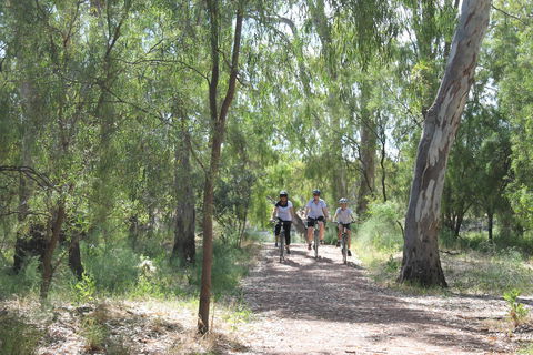 Hay Free Push Bikes - Tourism Townsville 0