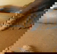 Hermannsburg Potters - Tourism Townsville