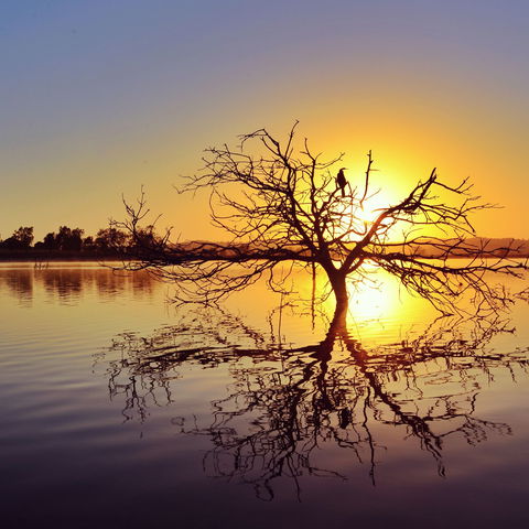 Lake Dyer - Tourism Townsville 0