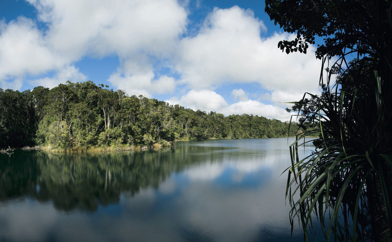 Lake Eacham QLD Tourism Townsville