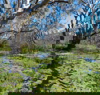 Macquarie Valley Trails - Tourism Townsville