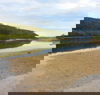 Mangrove Walk - Tourism Townsville