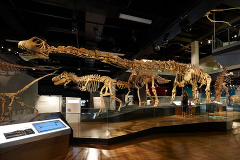 Melbourne Museum - Tourism Townsville 1