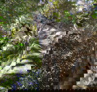 Moore Park Nature Reserve - Tourism Townsville