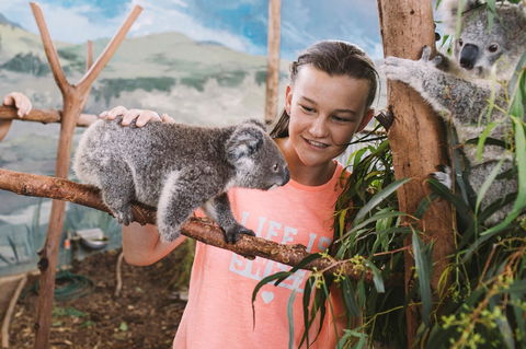 Oakvale Wildlife Park - Tourism Townsville 0