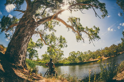 Sturt Gorge Recreation Park - Tourism Townsville 0