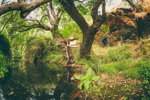 Sturt Gorge Recreation Park - Tourism Townsville 1