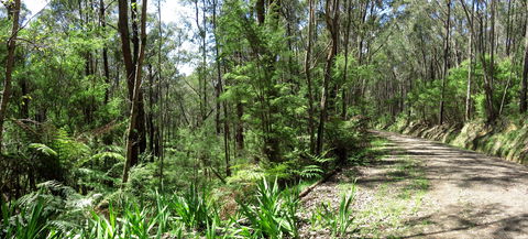 Tyers Park - Tourism Townsville 0