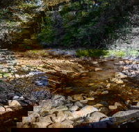 Wilson River picnic area - Tourism Townsville