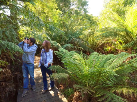 Endeavour Fern Gully Walks - Tourism Townsville 0