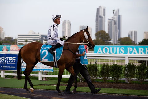 Gold Coast Turf Club - Tourism Townsville 2