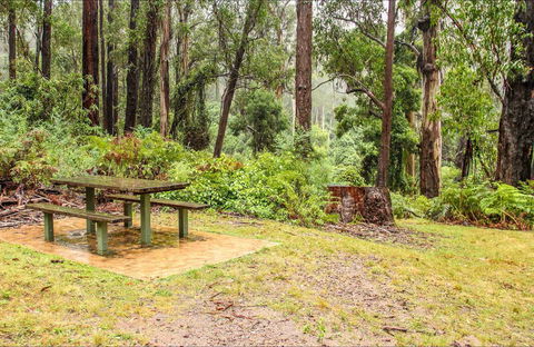 Goodenia Rainforest Picnic Area - Tourism Townsville 0