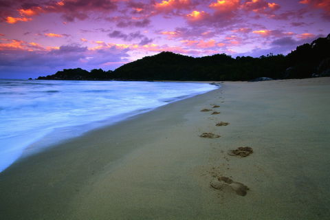Hinchinbrook Island National Park - Tourism Townsville 2