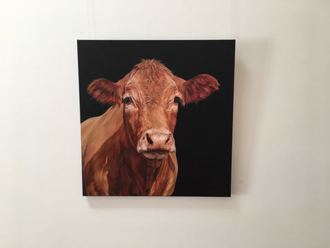 Ivy Hill Gallery - Tourism Townsville 2
