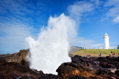 Kiama Blowhole - Tourism Townsville 0